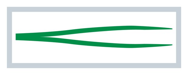 MediSet Anatomische Pinzette 12.5 cm grün